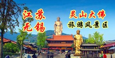 屄子免费观看视频网站江苏无锡灵山大佛旅游风景区