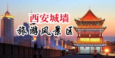 老师鸡巴好大操我视频中国陕西-西安城墙旅游风景区