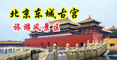 男女插逼手机免费看中国北京-东城古宫旅游风景区